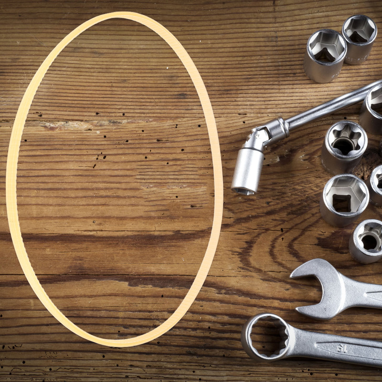 حزام نقل من البولي يوريثان قاب - مراجعة Auto Repair Shop For Transmissions وسعره